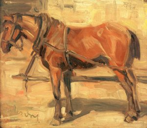 Small Horse Study