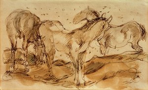 Horses in the Pasture