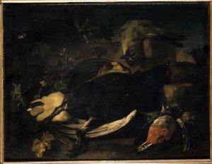 Dead Fowl