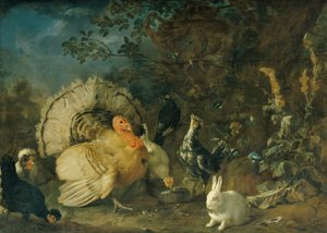 Poultry and Rabbits