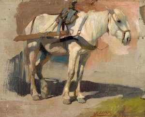 Harnessed White Horse