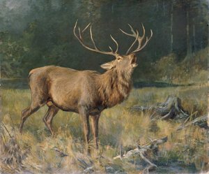 Rutting Deer by Franz Xaver von Pausinger