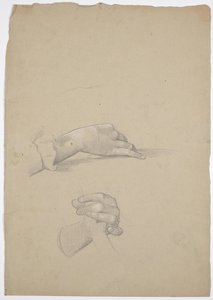 Hand Studies