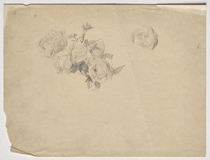 Study of Roses by Franz von Matsch
