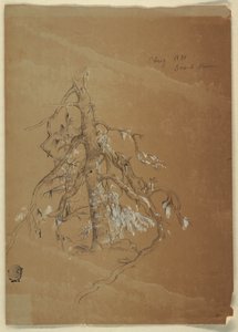 A Gnarled Evergreen, Grand Manan, Canada by Frederic Edwin Church