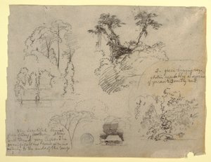 Botanical Studies and a House, probably from Colombia