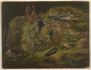 Boulder in the Woods by Frederic Edwin Church