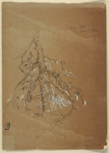 A Gnarled Evergreen, Grand Manan, Canada, August 1851 by Frederic Edwin Church
