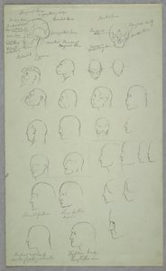 Anatomical Studies, 1865–70 by Frederic Edwin Church