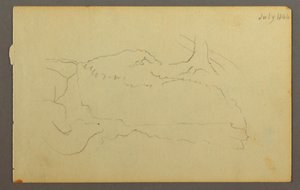 Base of a Tree, Boulders, 1844 by Frederic Edwin Church