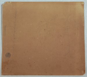 Botanical Sketches, Possibly Bamboos, Palms and Bushes, Ecuador or Colombia, 1853 or 1857 by Frederic Edwin Church
