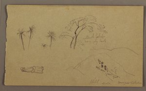 Botanical Sketches, Figure, May–August 1865 by Frederic Edwin Church