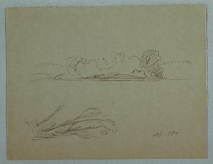 Botanical Sketches: Landscape, Trees at a Shore, September 1876