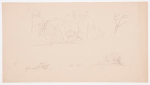 Botanical Sketches: Tree, Trees at Shore, September 1876 by Frederic Edwin Church