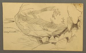 Boulder and Rocks, Possibly 1877 by Frederic Edwin Church