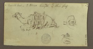 Camel Studies, March 2, 1868 by Frederic Edwin Church