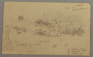 Camels Drinking on a Hill, February 22, Possibly 1868 by Frederic Edwin Church