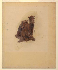 Crouching dromedary, 1868 by Frederic Edwin Church