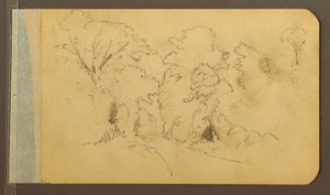 Hill and Mountain Ranges; Road in the Woods, 1889
