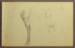 Horse Studies, possibly 1844 by Frederic Edwin Church