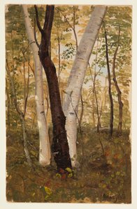 In the Woods, Hudson, New York, October 1865 by Frederic Edwin Church