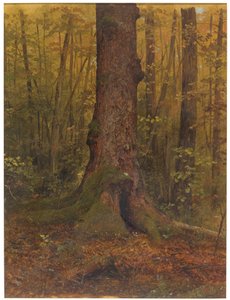 In the Woods, Probably Maine, 1850–60 by Frederic Edwin Church