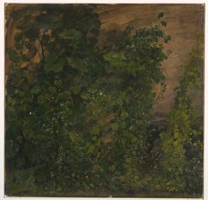 Drawing, Jungle Vegetation, 1865 by Frederic Edwin Church