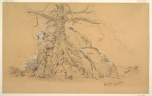 Königssee Tree, July 16, 1868