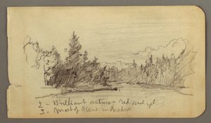 Lake Surrounded by Trees, Possibly 1878 by Frederic Edwin Church