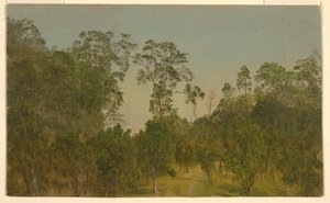 Landscapes, July 1865 by Frederic Edwin Church