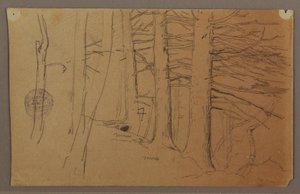 Lower Parts of a Group of Trees Growing on a Slope, 1862 by Frederic Edwin Church