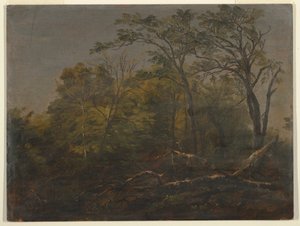 Maine Woods, 1845–55 by Frederic Edwin Church
