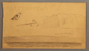 Man in boat, bird, cliffs, coast, July 6, 1859 by Frederic Edwin Church