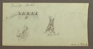 Mountain Range, February 1868