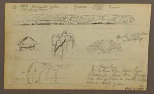 Mountain Ranges "entering Guayaquil"; Verso: River Bank, Botanical Sketches, possibly 1857 by Frederic Edwin Church