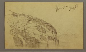 Mountainside, July 1868