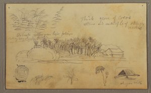 Sketches, Ecuador or Colombia; Verso: Sketches, Ecuador or Colombia, 1857 by Frederic Edwin Church