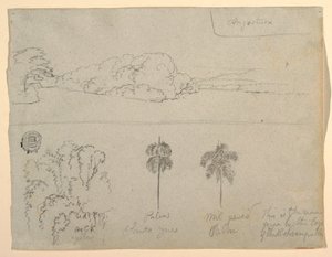 Sketches from Colombia: Bank of a River or Bay, and Trees, 1853 by Frederic Edwin Church