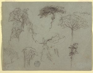 Studies of Trees, Ecuador, 1853 by Frederic Edwin Church