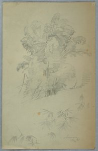Studies of Trees and Boughs, Jamaica, August 1865 by Frederic Edwin Church