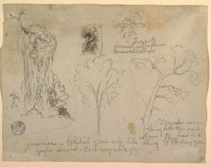 Studies of Trees and Plants seen from the Rio Magdalena, Columbia, 1853 by Frederic Edwin Church