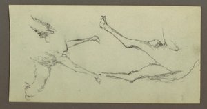 Study of Camel