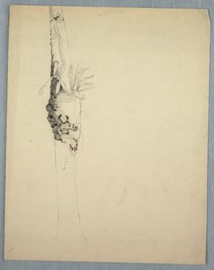 Tree Trunk with Parasitical Plants, Jamaica, May–August 1865 by Frederic Edwin Church