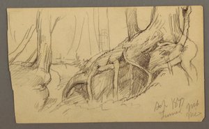 Tree Roots Growing Over a Boulder (Turner Mountain), 1877
