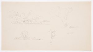 Trees, a Shore with Bushes and Trees, September 1876 by Frederic Edwin Church