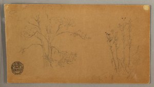 Trees and Plants, Elecampene, September 1856 by Frederic Edwin Church