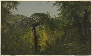 Tropical Landscape, June or July 1865 by Frederic Edwin Church