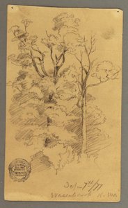 Two Trees, 1877 by Frederic Edwin Church