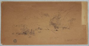 View of Toche, Colombia, July 1853 by Frederic Edwin Church