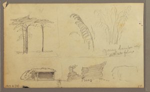 Views of the East Bank of the Guayas River, opposite Guayaquil, Ecuador, May 1857 by Frederic Edwin Church